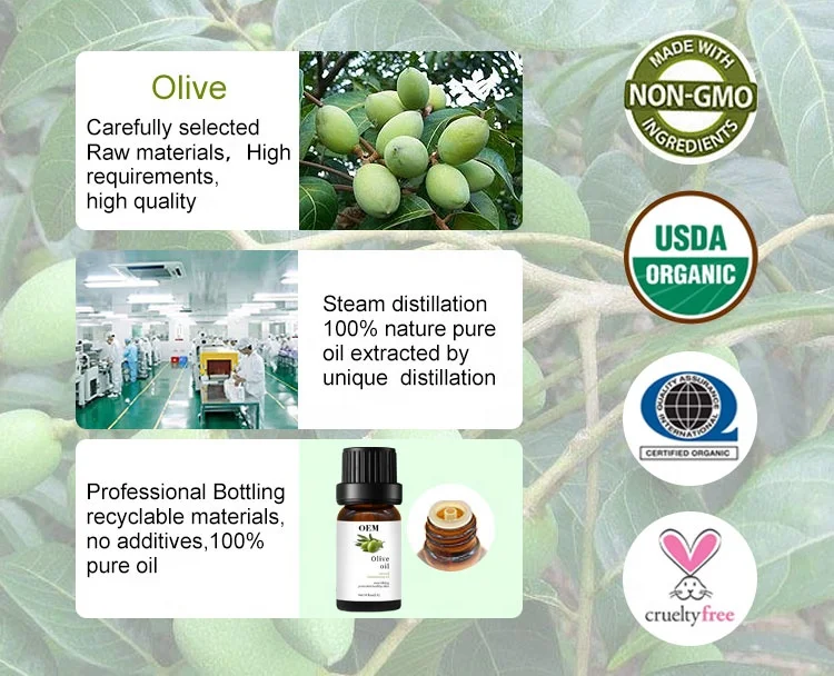 OEM Supplier 500ml Organic Extra Virgin Refined Prices Pure Olive Oil Bulk