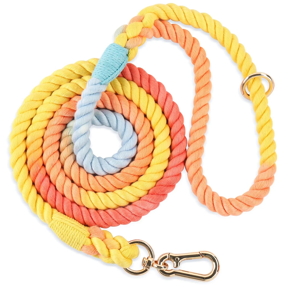 2023 New Factory Best Price Custom High Quality Gradient Adjustable Pet Dog Leash with Metal Hook