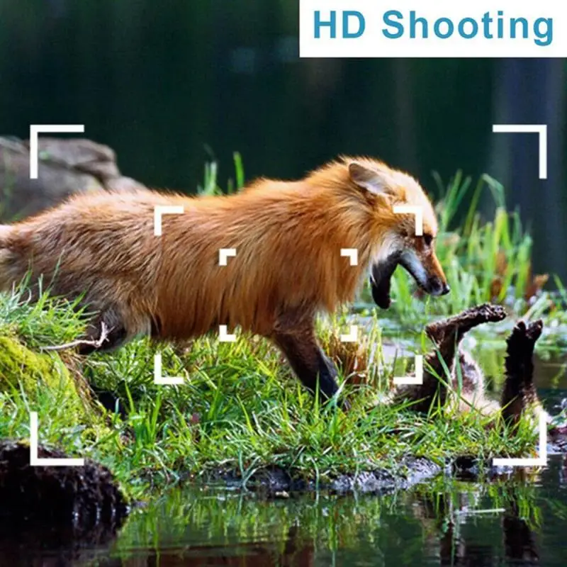 HD shooting.jpg
