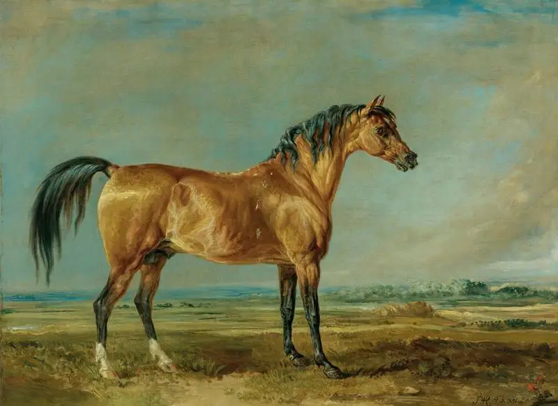 High quality Animal Horses Pattern Printed Canvas Pictures Artwork hand drawn oil painting