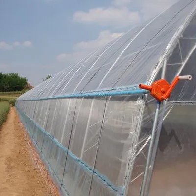 Low Cost Mini Tunnel Greenhouse for Tomato/Cucumber/Seed Breeding for Sale
