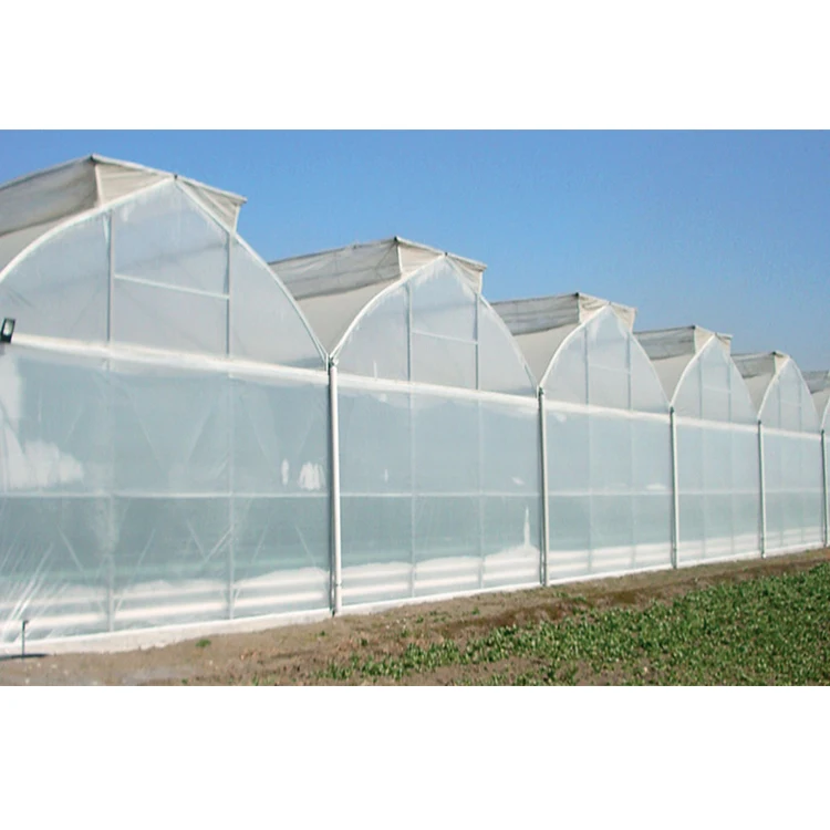 Galvanized Steel Frame Single Span Pe Film Greenhouse for Agriculture Low Cost Tunnel Greenhouse for Flowers Plant