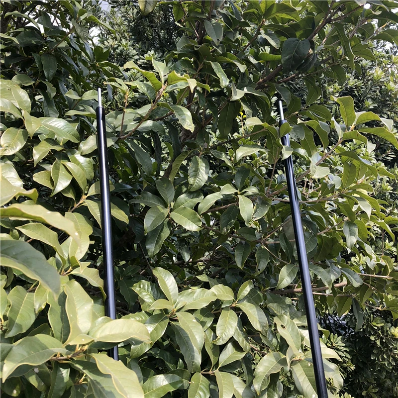 Adjustable Rust-Proof Tarp Poles Camping Flysheet Support 16MM 2 Meters Length Raintarp Collapsible  Iron Rod