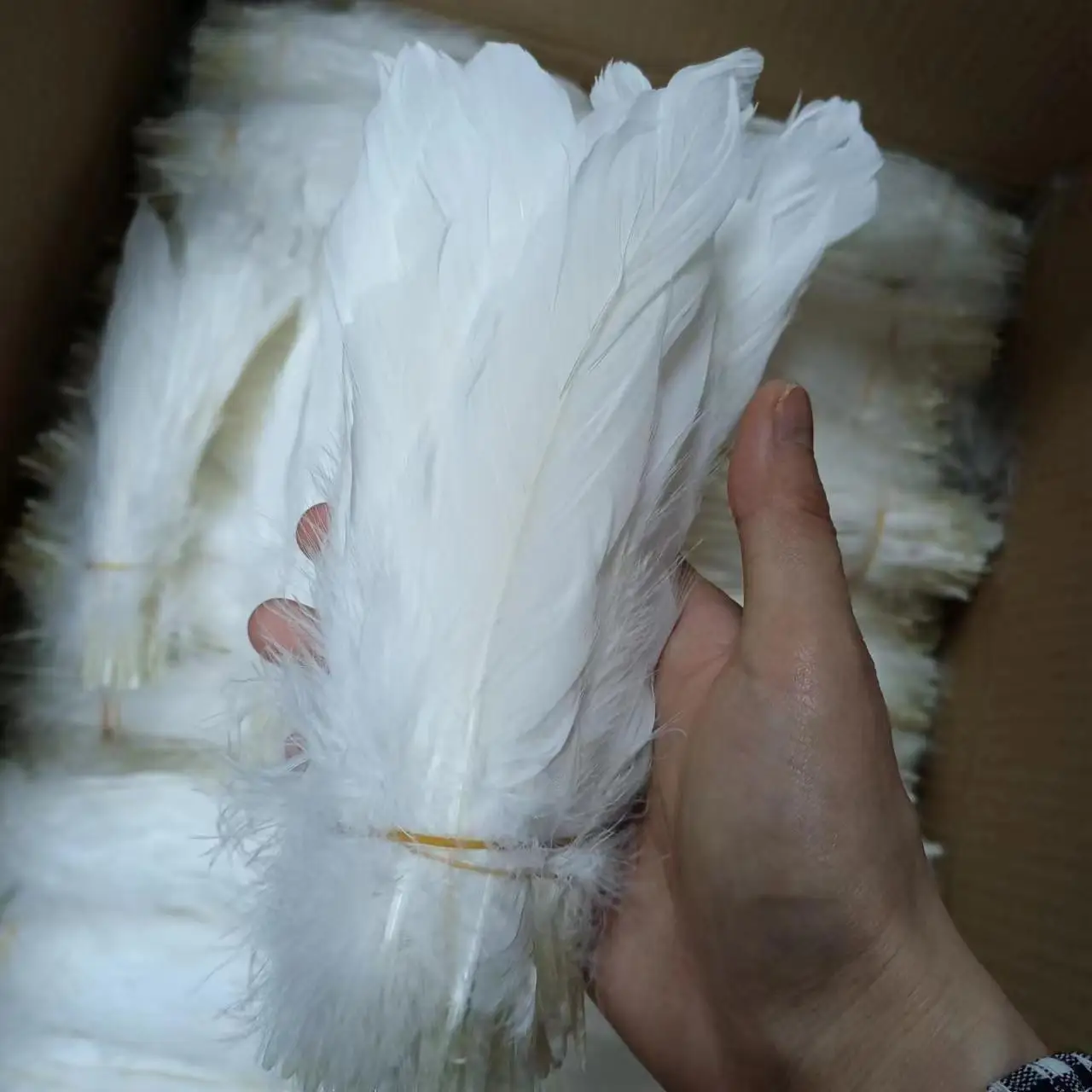 Cheap Natural 6-8' Goose  Feather bulk  White decor feathers goose  for badminton shuttlecock crafts angel wing cloth costume