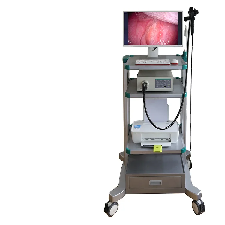 Endoscope System Video Medical Rigid Endoscopy Camera System Gastroscopy for Pet Small Animal