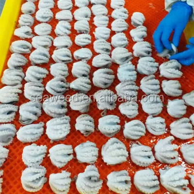 Hot selling halal Sweet and spicy 1kg 2kg delicious sauce baby octopus chuka idako