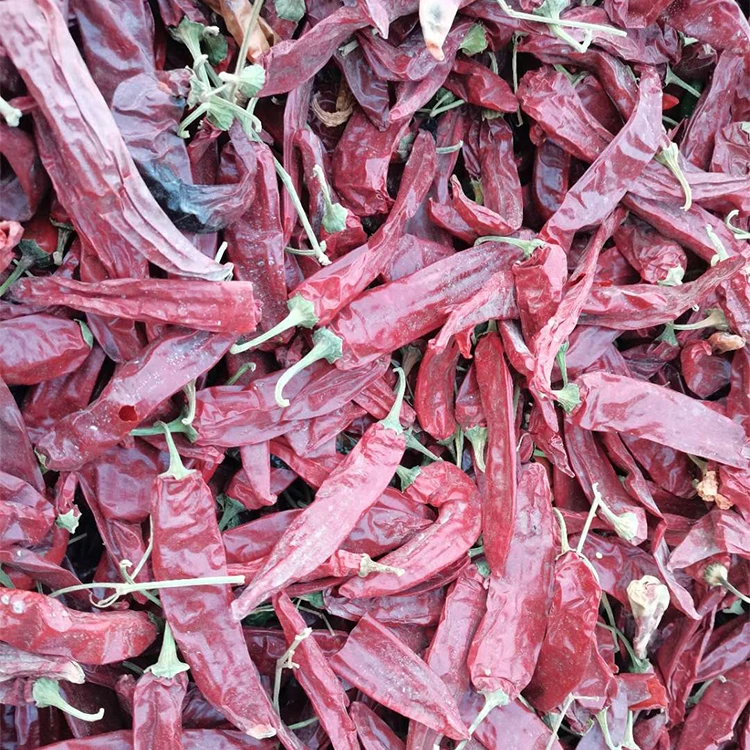 Оптовая продажа Новое поступление высокое качество Сушеный Перец