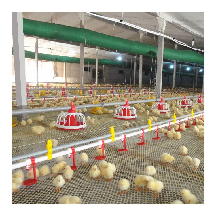 Poultry Farm Floor Raising Chicken Broiler Breeder Pan for Automatic Control Auger Feeding System
