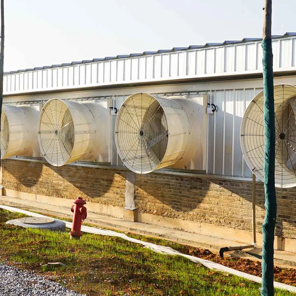 Pig Farrow Cage Double Pig 500MM Pen Factory Direct Sale Pig Farrowing Pens with Complete Maternity System