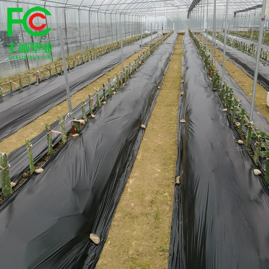 Agricultural Black Plastic Ground Cover Silver&Black Mulching Paper Greenhouse Mulch Film