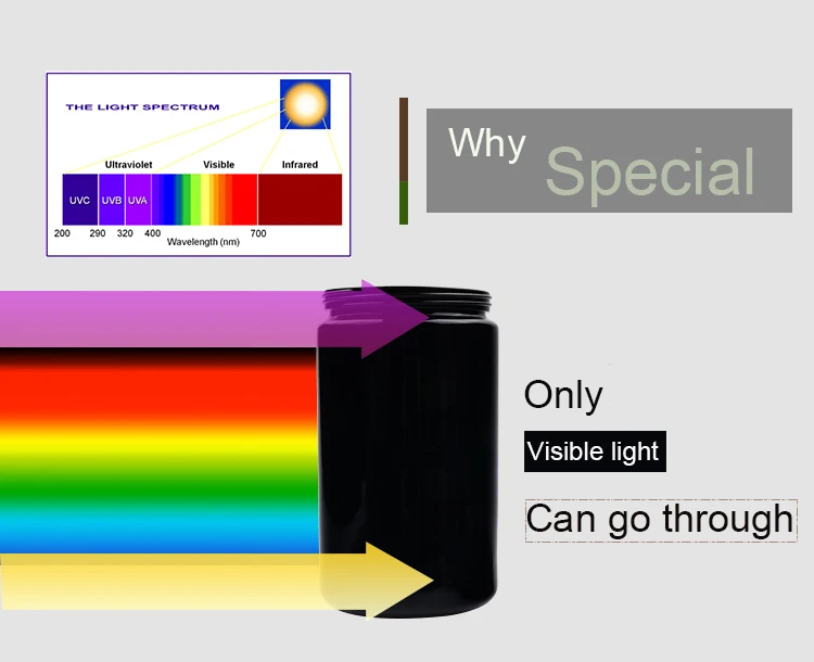 .jpg
