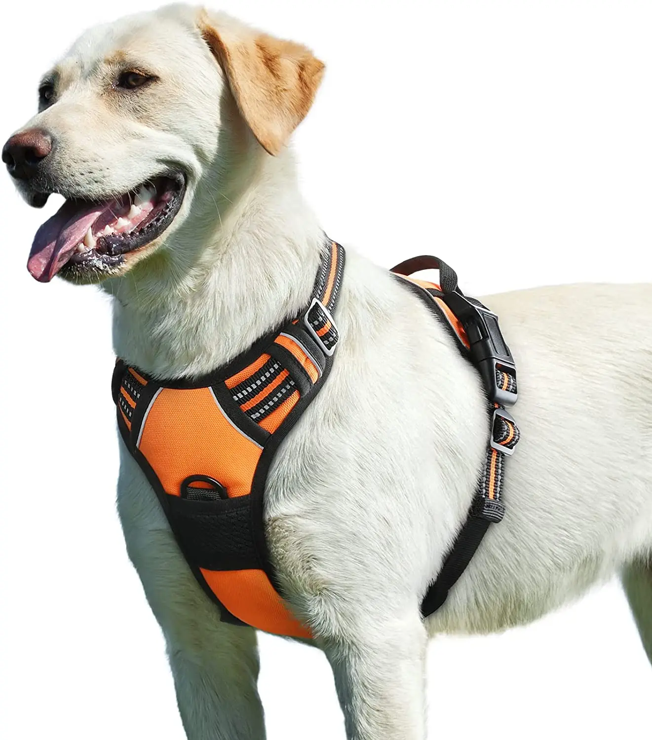 Hot Sale Wholesale Custom Logo Pvc Cute Dog Collar Chest Back Anti Bite Pet Dog Rope Anti Slip Vest Type Dog Chest Strap