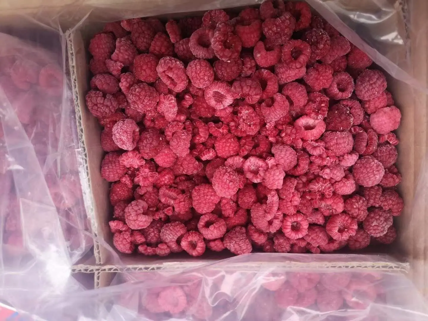 IQF Organic Whole Sweet Raspberries Bulk Frozen with Cube and Ball Patterns Carton Packaging