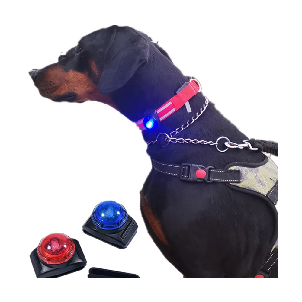 Safety Night Walking Lights Dog Collar Light Waterproof ABS LED Dog Light