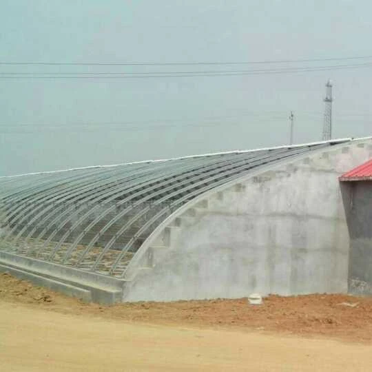 Chinese style Sunlight lean to roof Solar greenhouse