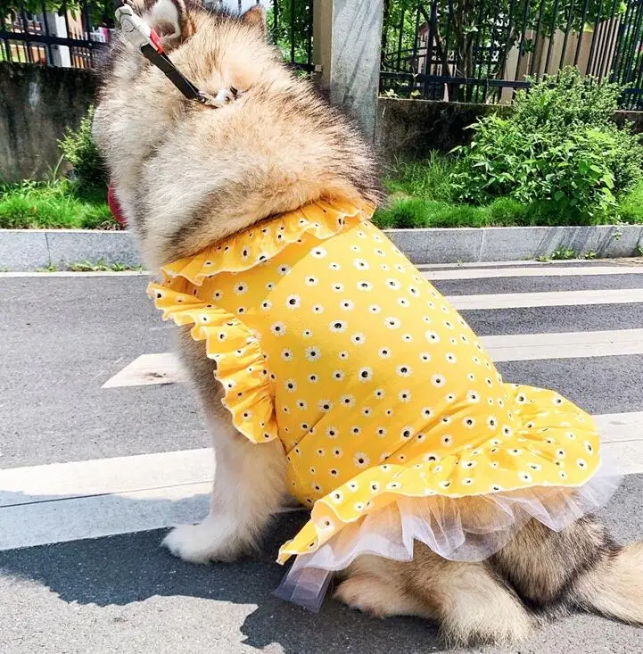 Hot Sale Ruffled Daisy Teddy Bichon Alaska Golden Retriever Satsuma Yellow Dog Dress