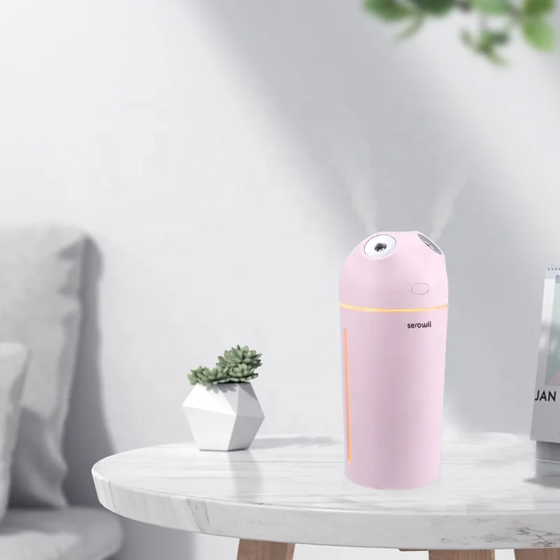 Latest design Portable mini USB Dual Spray humidifier