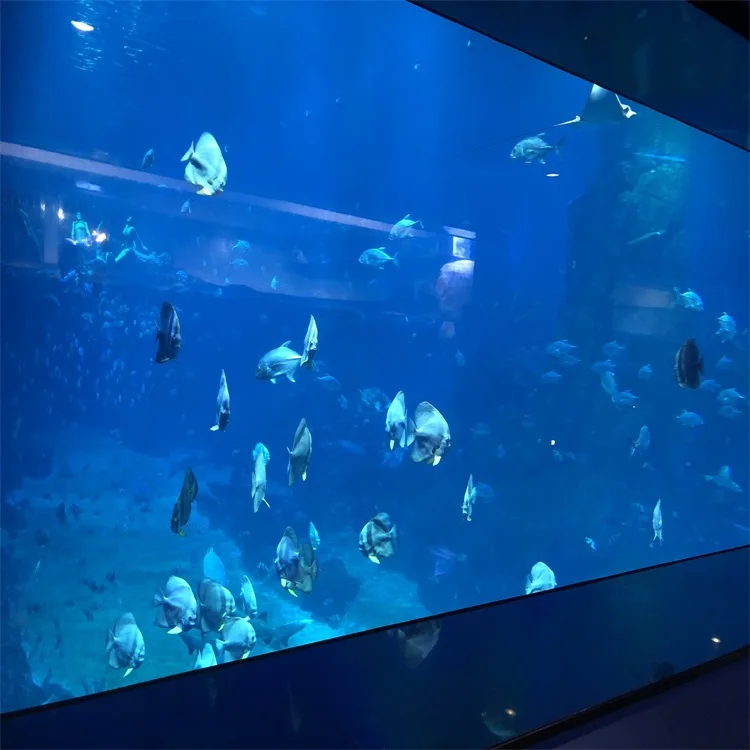 top quality large acrylic aquarium for sale