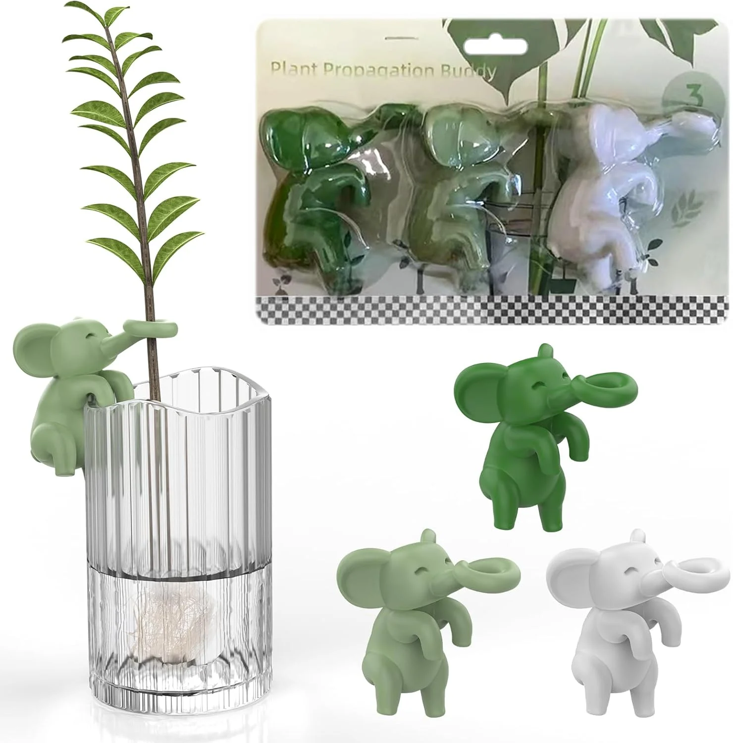 assisted reproduction partner glass vase a set green plant decoration flowerpot decoration plant bracket and glass vase