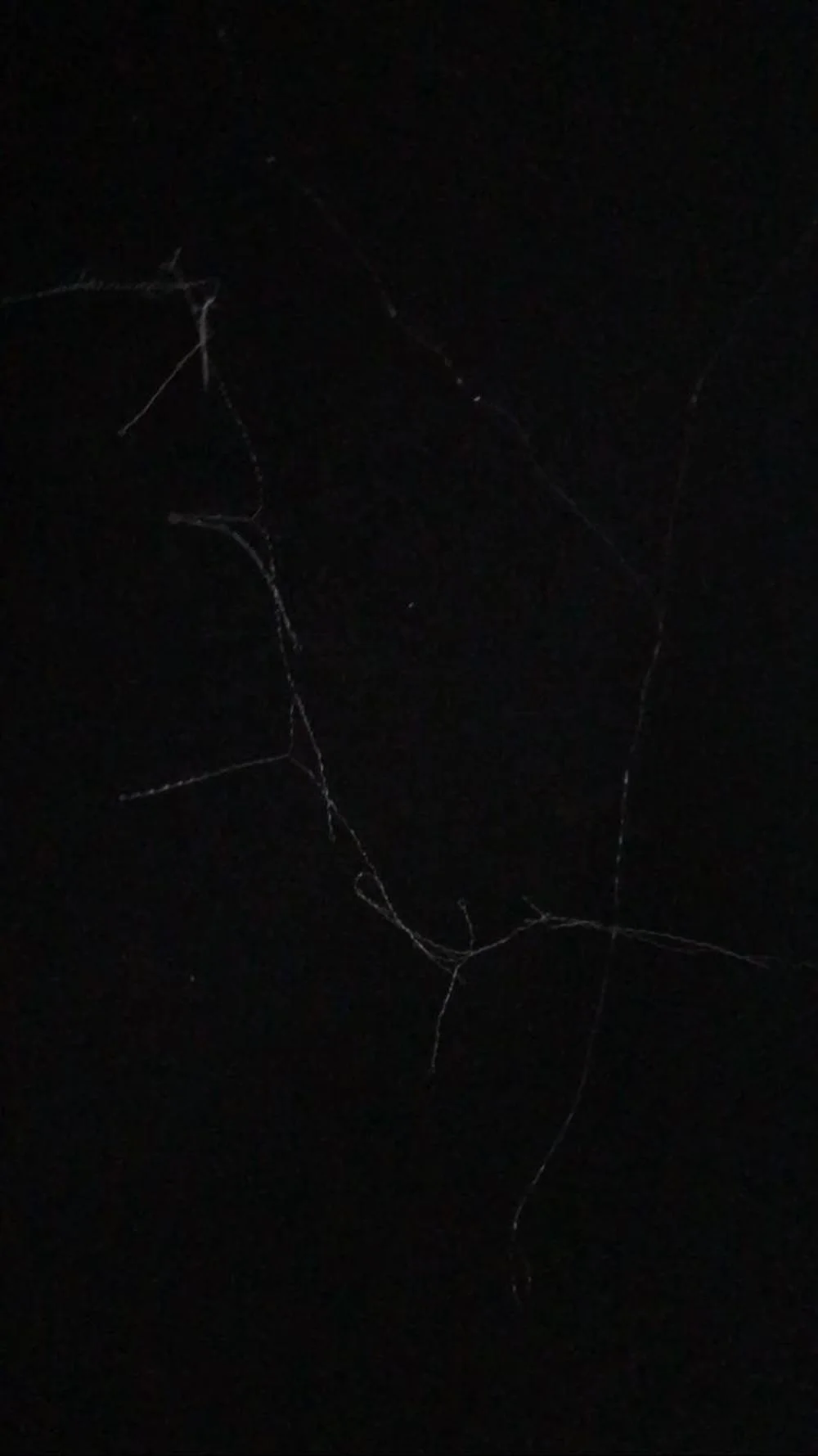 PA6 Nylon Monofilament High Twisted Bright Yarn 15D/3F for Crystal Socks