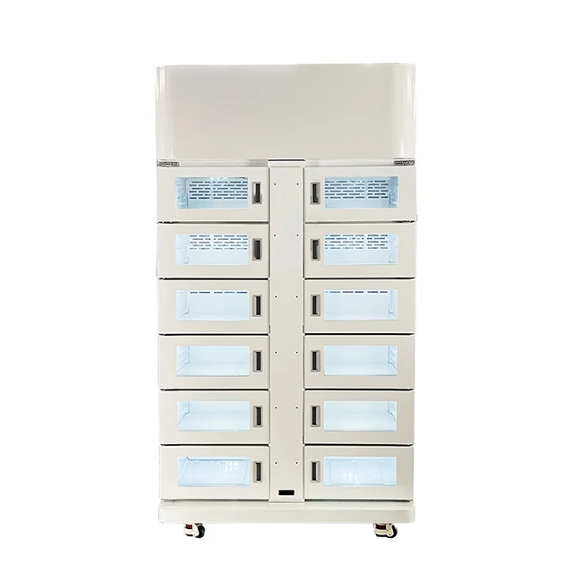Intelligent RFID Steel Refrigerated Storage Locker Cabinet Weatherproof and Android Wifi Connected for Mall and Gym Use