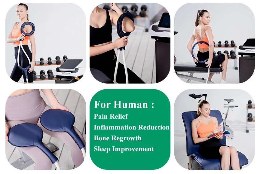 Pemf Mat Loop Pulsed Electromagnetic Field Pemf Equine Pmst Loop Pro Max Magnetic Therapy For Body Pain Recovery Machine