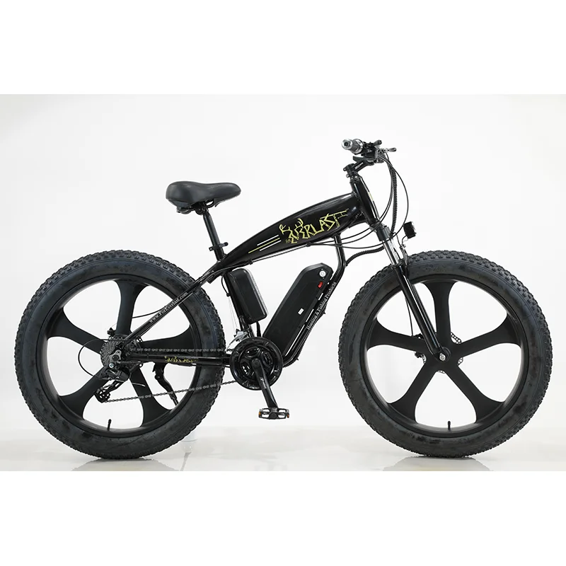 High power 750W 48V snow electric mountain bike/ebike