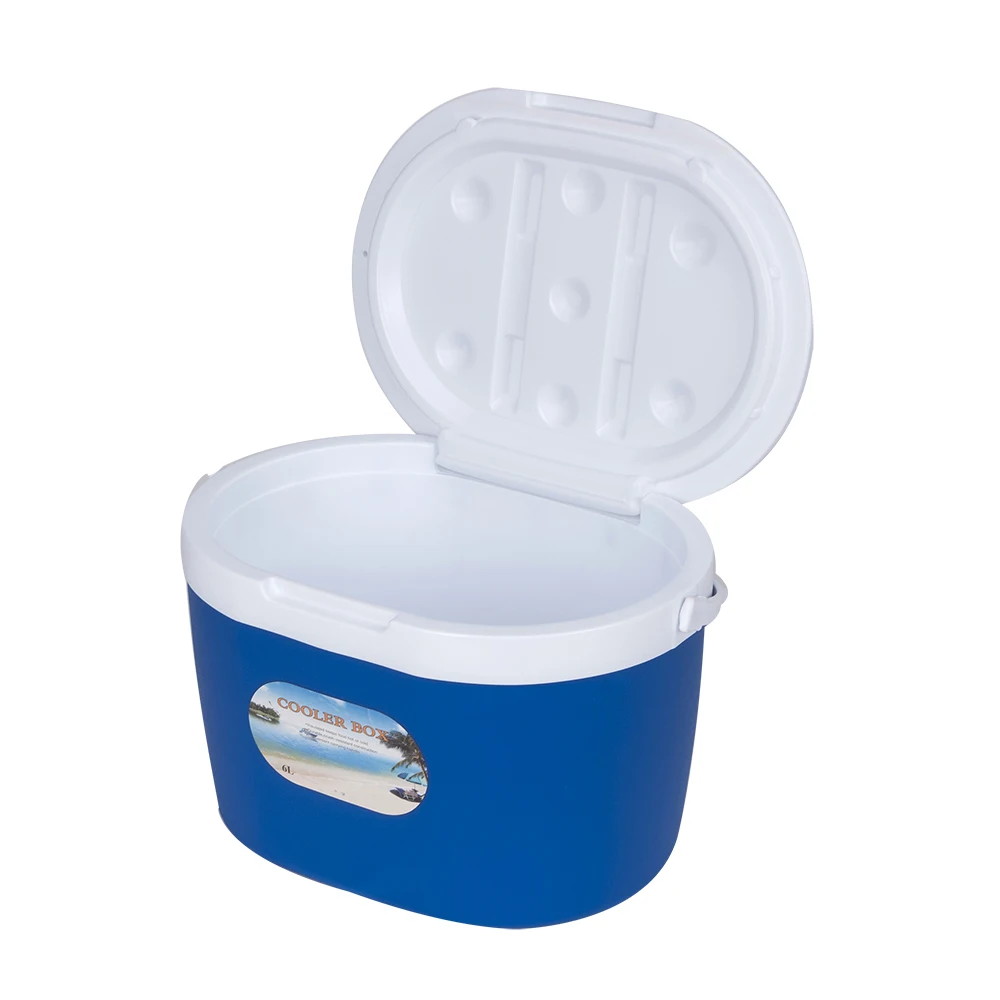 Competitive price with high quality compressor cool box