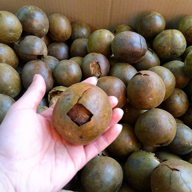 High Quality Fructus Momordicae Sweet Taste Momordica Grosvenori Monk Fruit