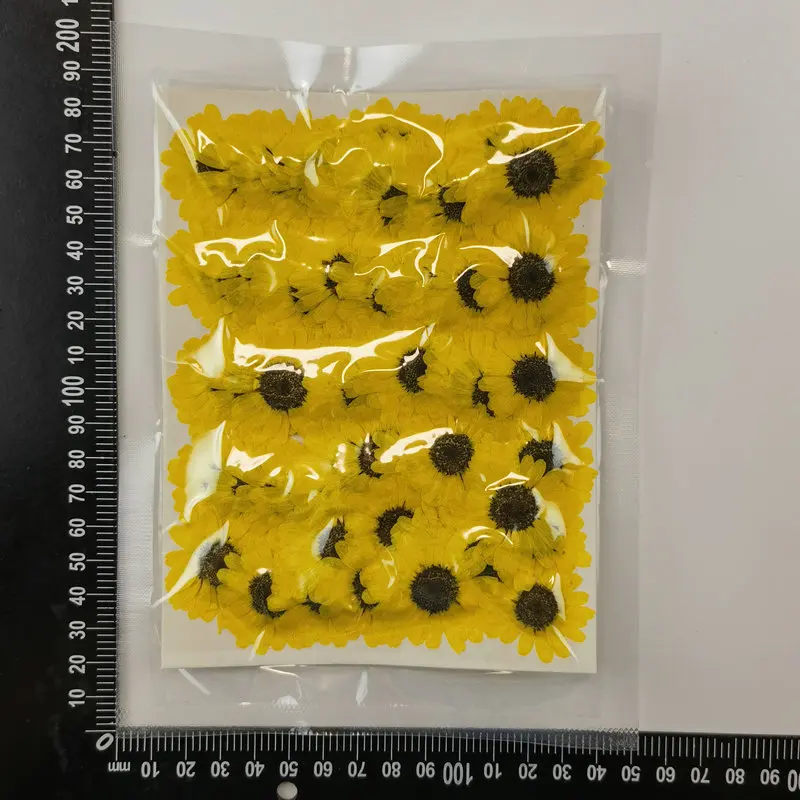 12pcs/pack Grandaisy Phone Case DIY Gift Card Candle Making Pressed Flower