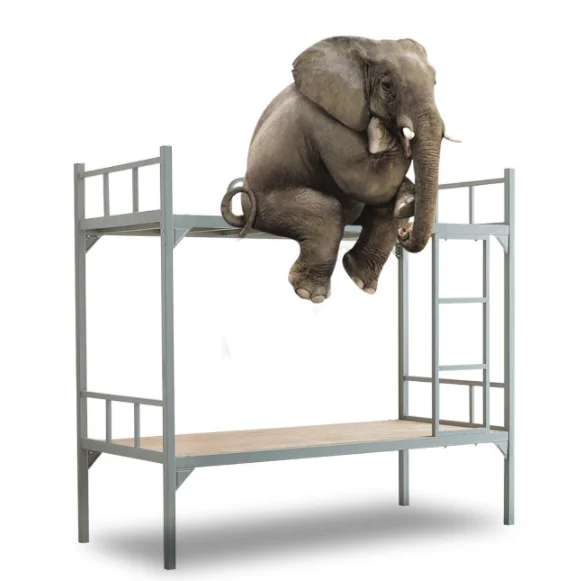 Hot sale thickening cheap modern custom round pipe white strong bunk bed adult double