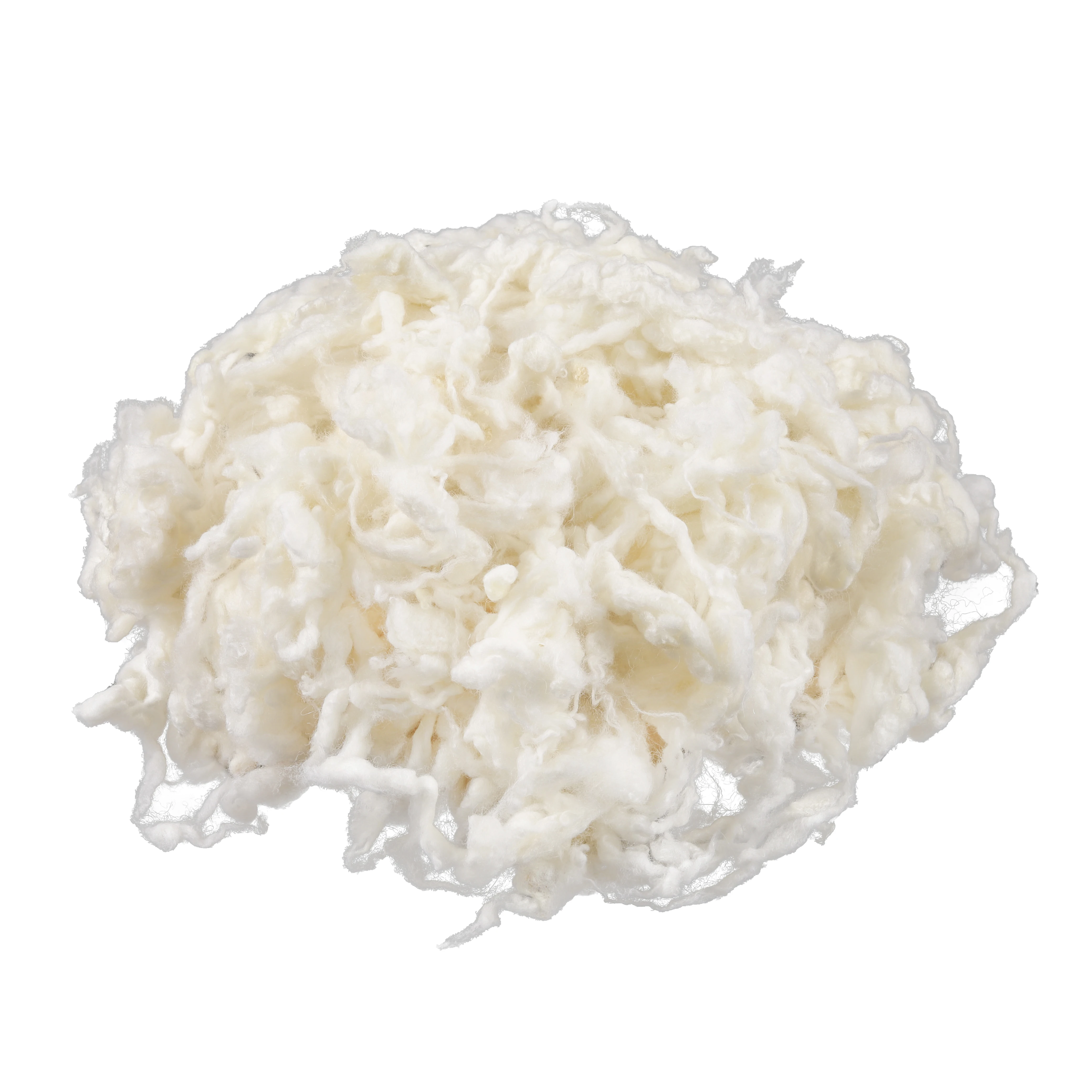 Superfine 18.5mic australia Fine and curly and softCarbonied Wool  for spining yarn ,suits, cardigans, scarves carbonized wool