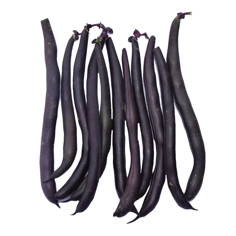 ФЛ высокая питательная ценность фасоли французский карлик съедобные Семена овощей