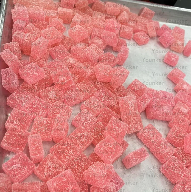 Gummy Depositor  (10).jpg