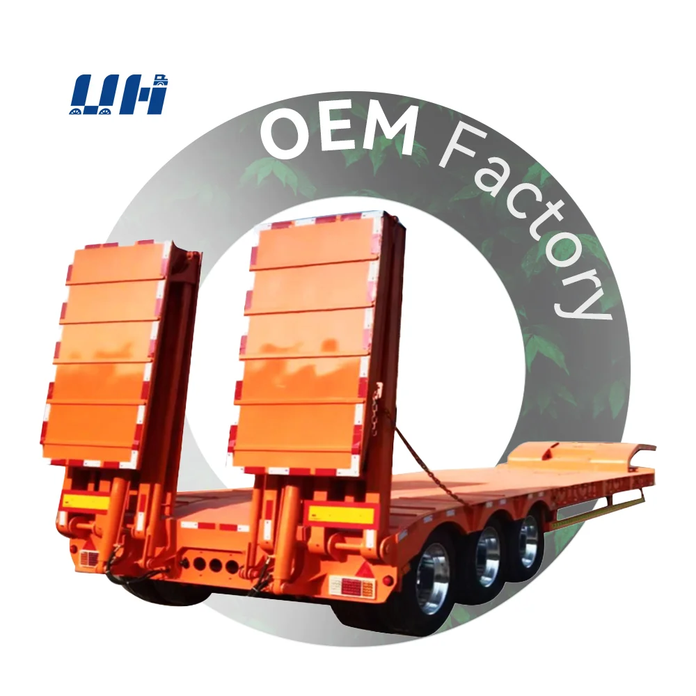 Customizable Lowbed Trailer 60 Ton 80 Ton Low Bed Trailer 8 Axle with Dolly