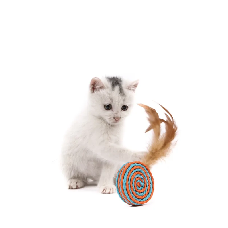 Simulation Catnip Cat Toy Alternative Cat Funny Playing Set Gift Cat Teaser Toy Set