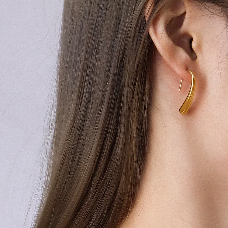 Wholesale Custom High Polished Non Tarnish Free Waterproof Minimalist Jewelry 18K Gold Plated Stainless Steel Hook Earrings