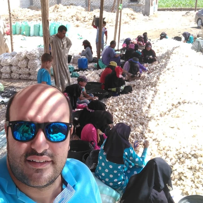 White Common Fresh Garlic 2020