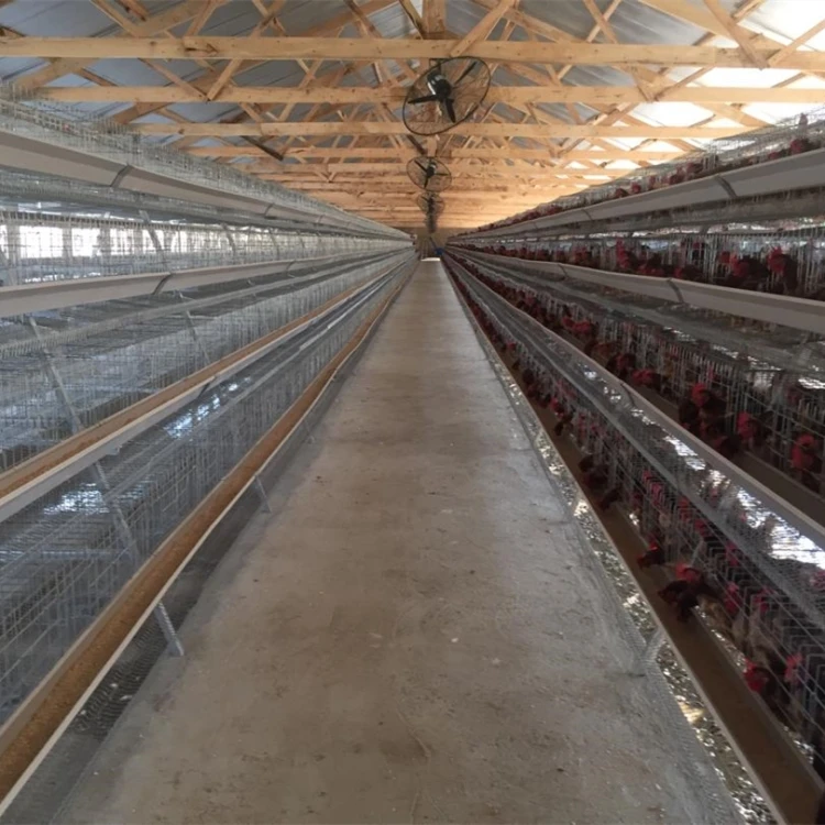 Uganda Poultry Farm Automatic Poultry Chicken Layer Breeding Cage