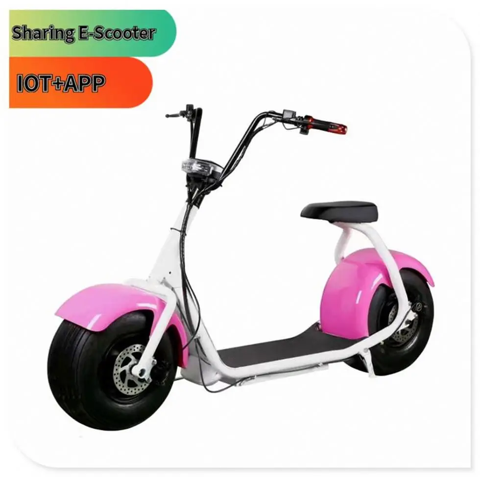 Уникальный гоночный мотоцикл 150Cc 200Cc на 2 человек