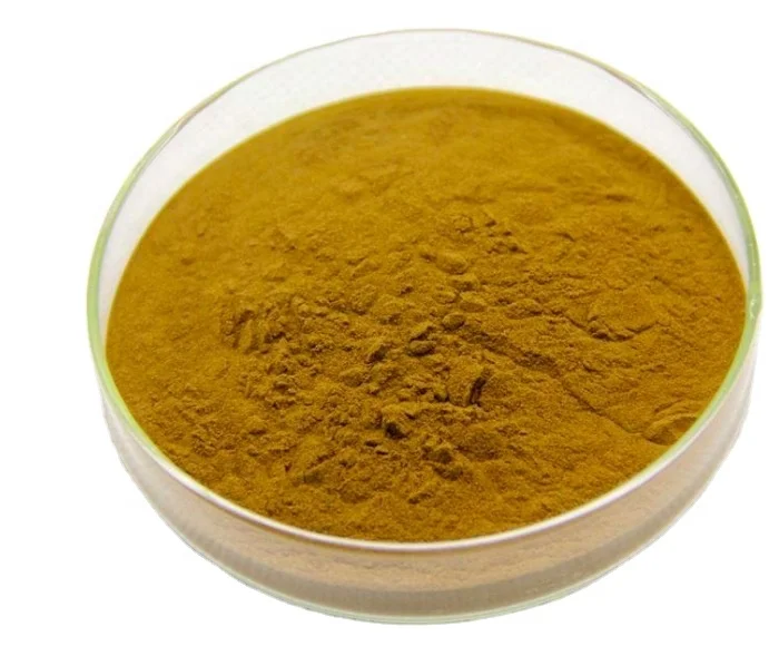 Factory supply organic kurutulmu agaricus blazei murill mantar extract/semilla agaricus blazei extract