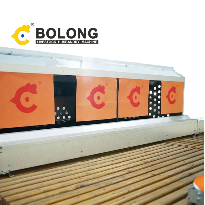 BOLONG poultry automation equipment chicken poultry farm equipment free range chicken barn