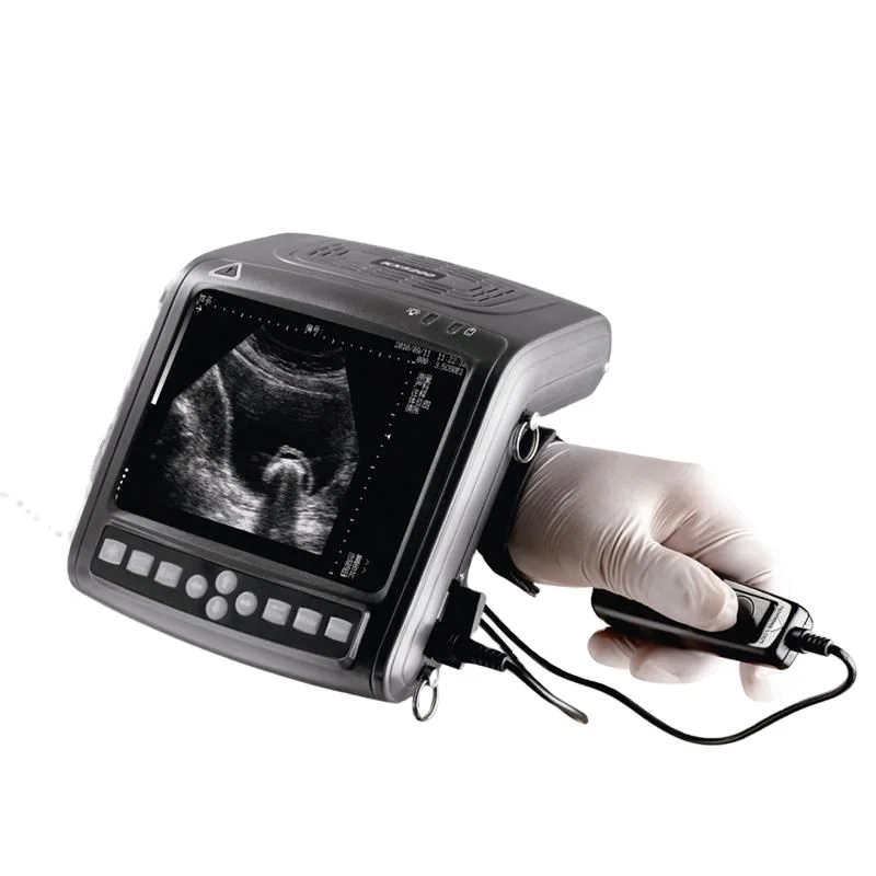 Full-digital B mode portable ultrasound scanner for vet pregnancy scanner ultrasound sheep ultrasound scanner for sheep