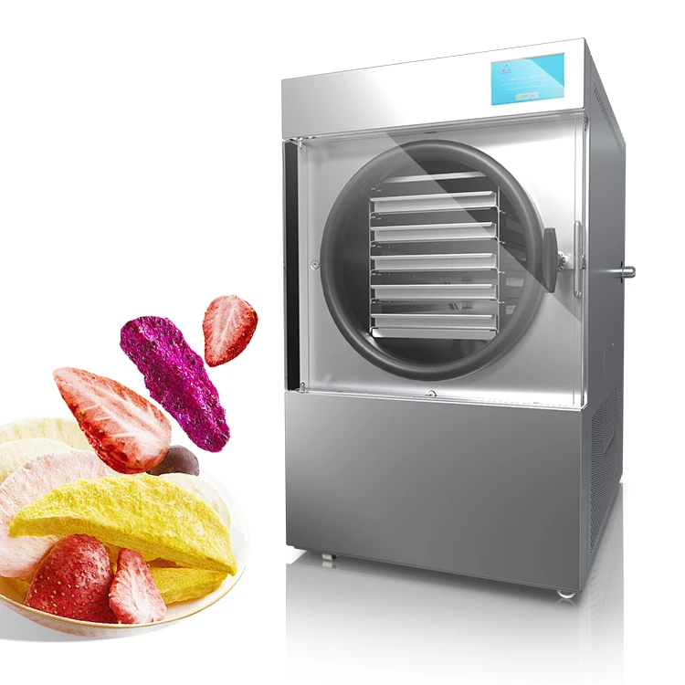 Home Freeze Dryer Patented Exquisite Appearance Small Food Freeze Drying Dryer Equipment With Independent Probes
