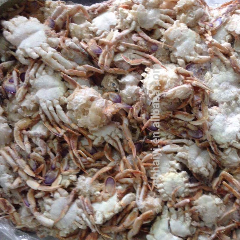 
Frozen Sand Crab - For Canning 