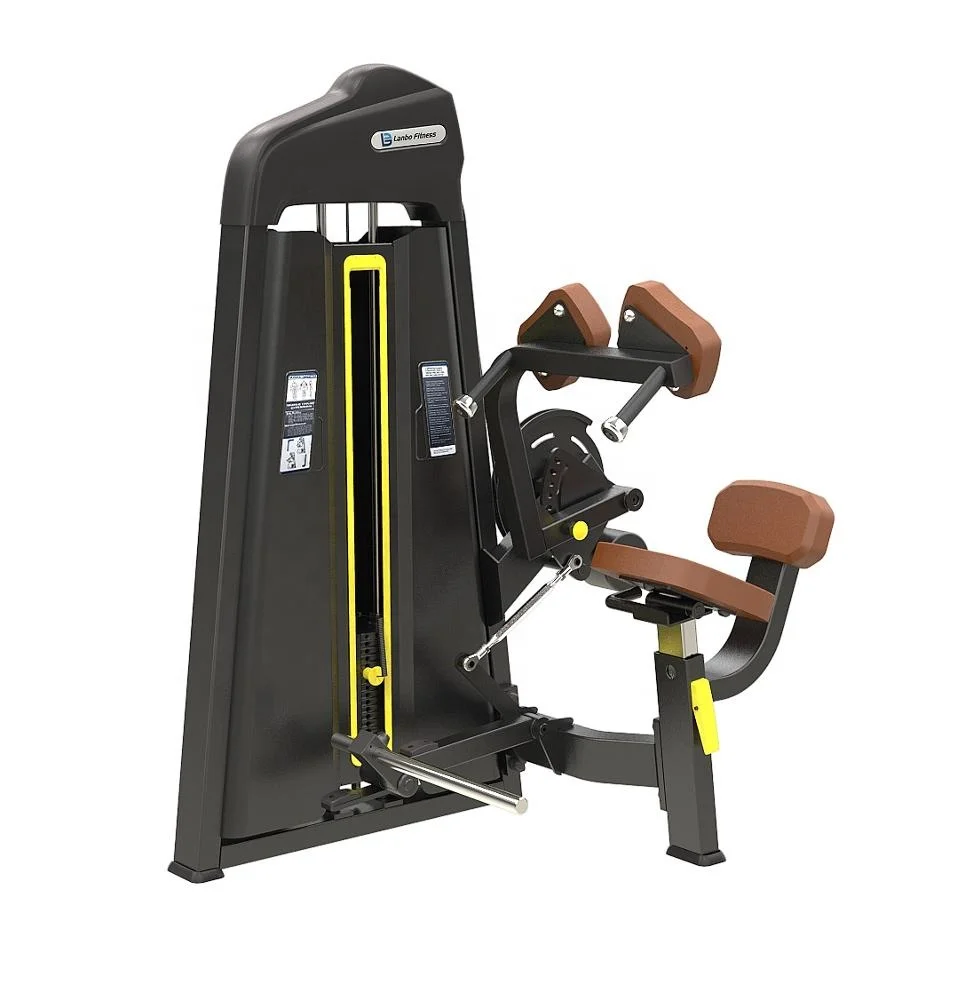 Shandong Lanbo Sport fitness equipment Wholesalers high quality total abdominal crunch horse riding exercise machine