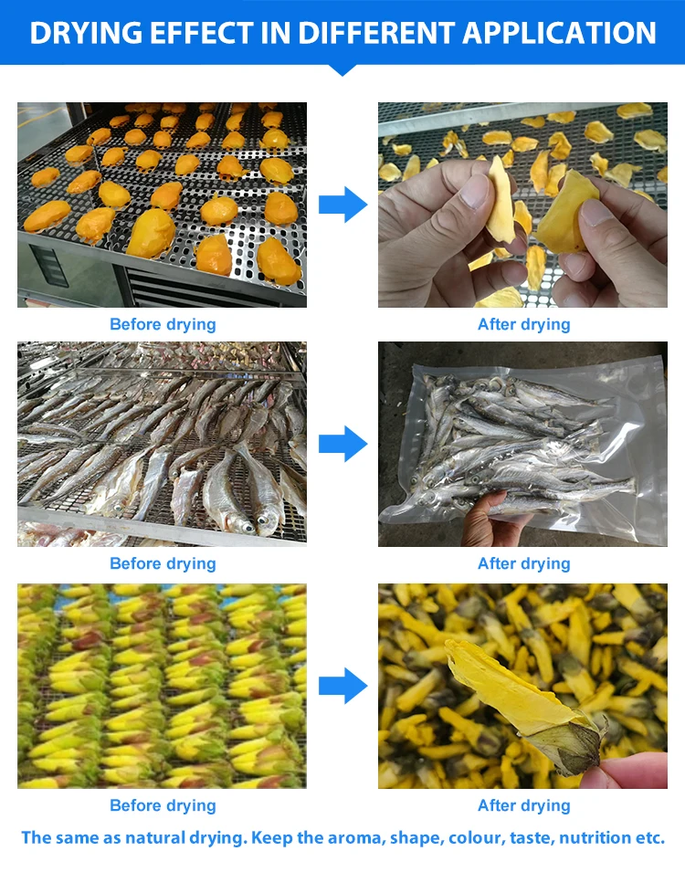 Sale Dry Fruit Vegetable Tomato Onion Mango Drying Machine Coconut Potato Fish Ginger Dryer Food Beef Jerky Dehydrator Oven For