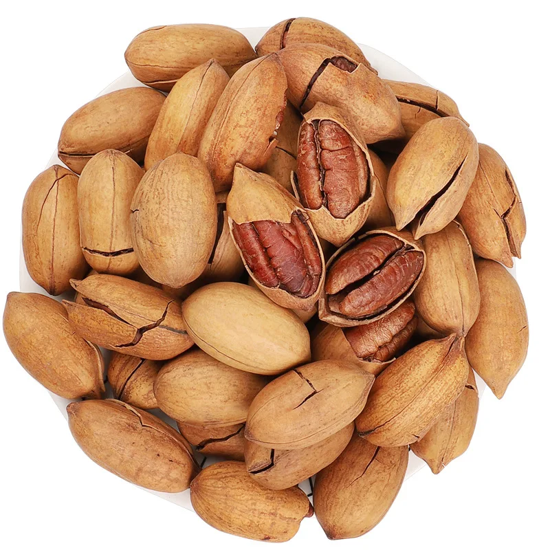 Wholesale Supplier Pecans Nut Raw Pecan Nut Pecan Nuts In Shell For Sale