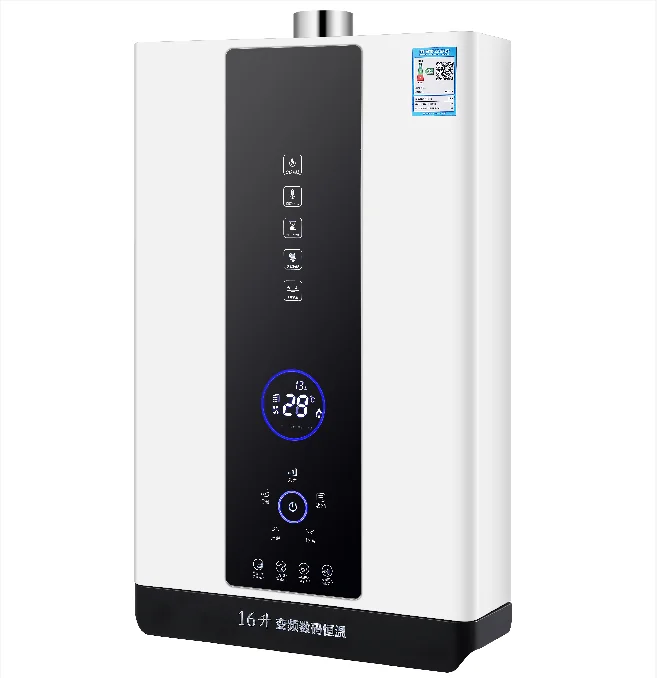 Wall Mounted 220v Constant Temperature Type Shower Tankless Gas Hot Water Heater
