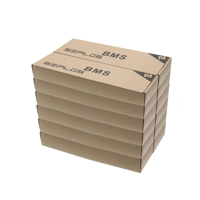 Seplos 50A/100A/150A/200A 24V/48V CAN/RS485 battery protection board Balance lithium smart 48V Lifepo4 BMS